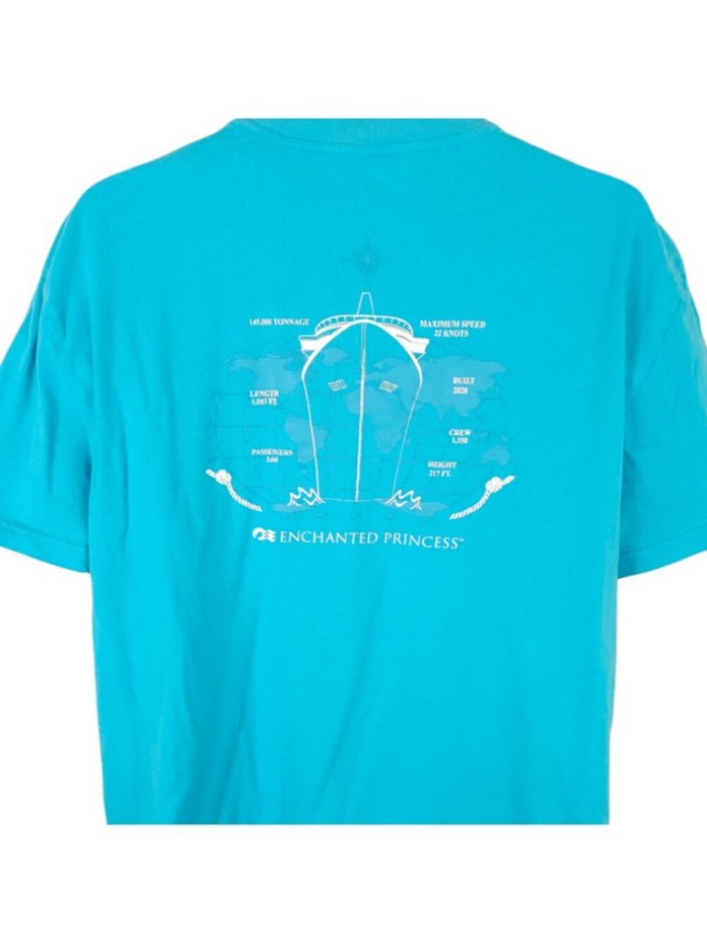 Enchanted Princess T Shirt Mens Size Large Blue Cruise Ship RELAXED Fit